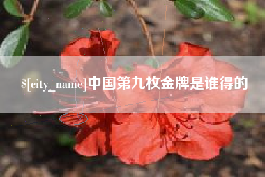 宁德中国第九枚金牌是谁得的