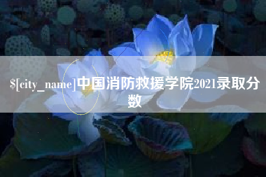 宁德中国消防救援学院2021录取分数