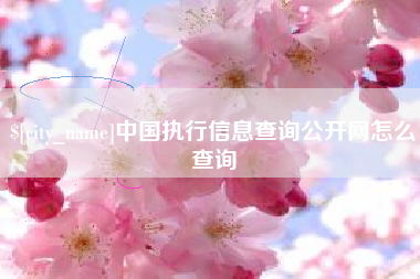 宁德中国执行信息查询公开网怎么查询