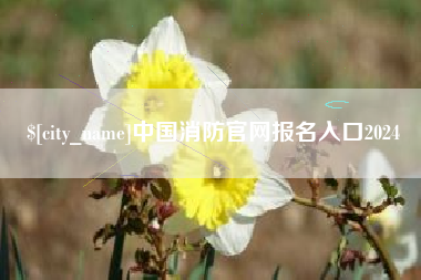 宁德中国消防官网报名入口2024