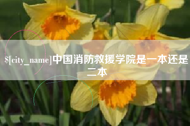 宁德中国消防救援学院是一本还是二本