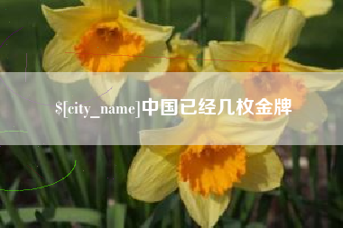 宁德中国已经几枚金牌