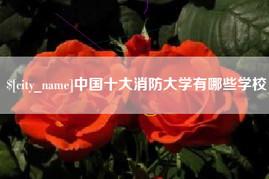 宁德中国十大消防大学有哪些学校