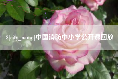 宁德中国消防中小学公开课回放