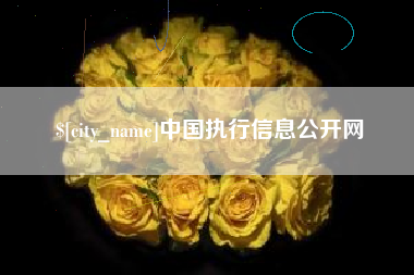 宁德中国执行信息公开网