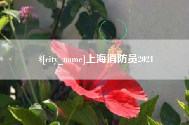 宁德上海消防员2021