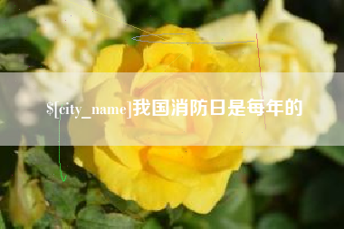 宁德我国消防日是每年的