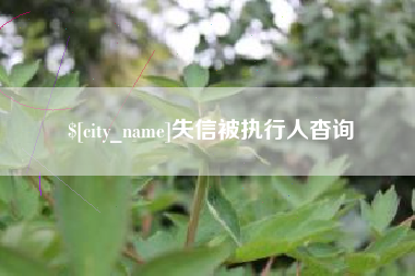 宁德失信被执行人杳询