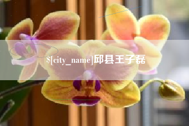 宁德邱县王子磊