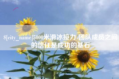 宁德5000米滑冰接力-团队成员之间的信任是成功的基石