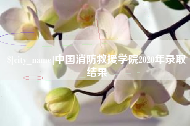 宁德中国消防救援学院2020年录取结果
