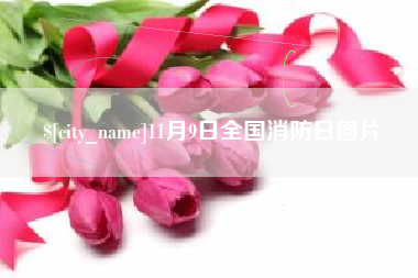 宁德11月9日全国消防日图片