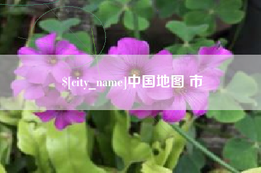 宁德中国地图 市