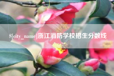 宁德浙江消防学校招生分数线