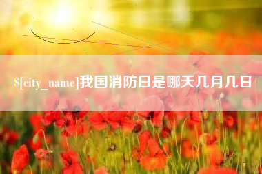 宁德我国消防日是哪天几月几日