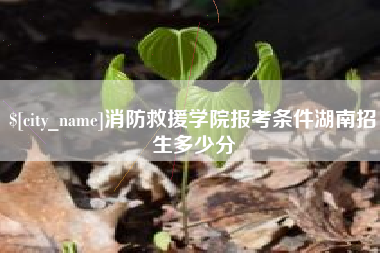 宁德消防救援学院报考条件湖南招生多少分