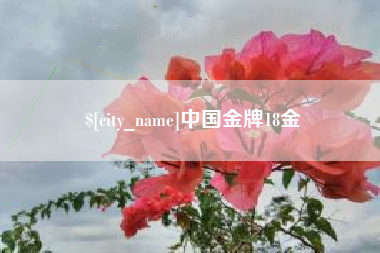 宁德中国金牌18金