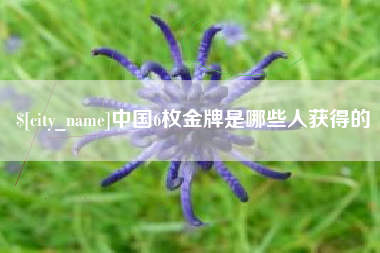宁德中国6枚金牌是哪些人获得的