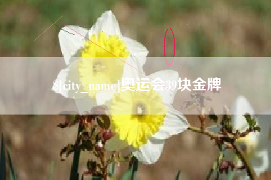 宁德奥运会39块金牌