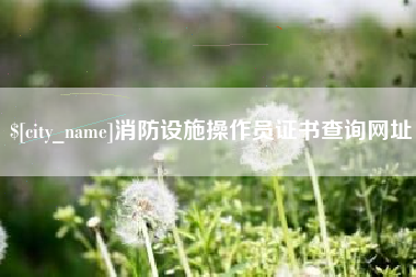 宁德消防设施操作员证书查询网址
