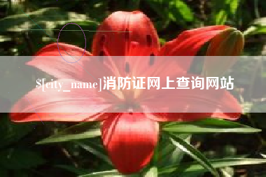 宁德消防证网上查询网站