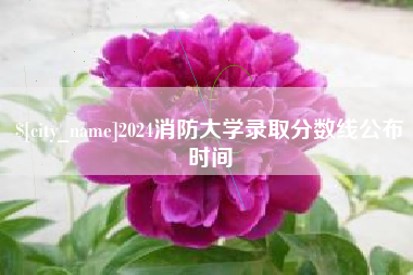 宁德2024消防大学录取分数线公布时间