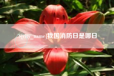 宁德我国消防日是哪日