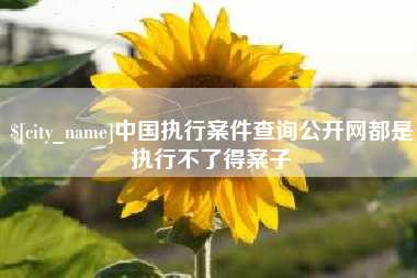宁德中国执行案件查询公开网都是执行不了得案子