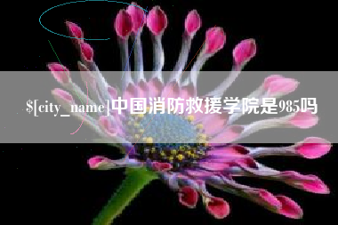 宁德中国消防救援学院是985吗