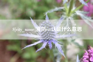 宁德消防ccc认证什么意思