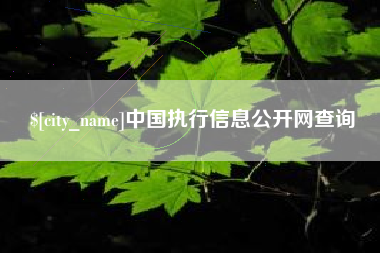 宁德中国执行信息公开网查询