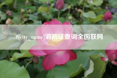 宁德消防证查询全国联网