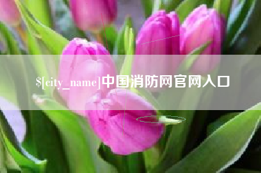 宁德中国消防网官网入口