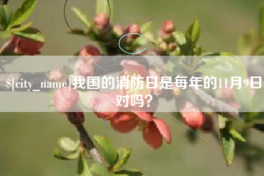 宁德我国的消防日是每年的11月9日对吗？