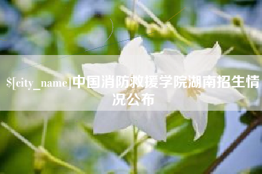 宁德中国消防救援学院湖南招生情况公布