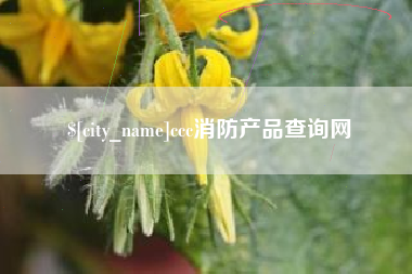 宁德ccc消防产品查询网