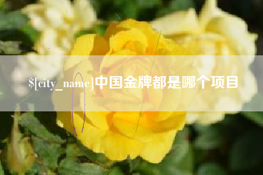 宁德中国金牌都是哪个项目