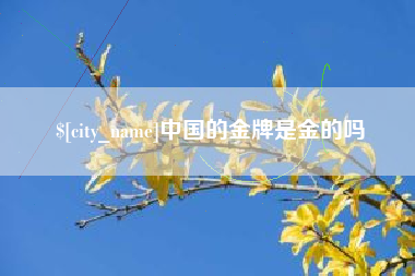 宁德中国的金牌是金的吗