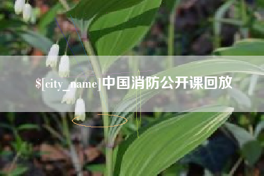 宁德中国消防公开课回放