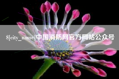 宁德中国消防网官方网站公众号
