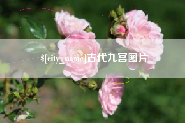 宁德古代九宫图片
