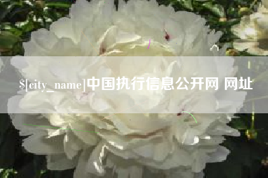 宁德中国执行信息公开网 网址