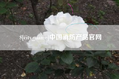 宁德中国消防产品官网