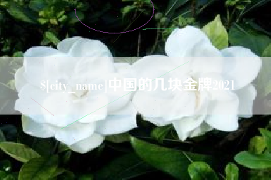 宁德中国的几块金牌2021