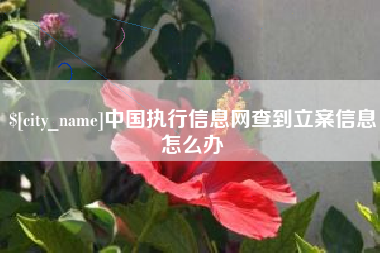 宁德中国执行信息网查到立案信息怎么办