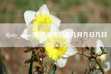 宁德我国消防日是几月几日几日