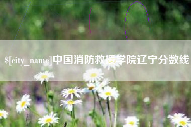 宁德中国消防救援学院辽宁分数线