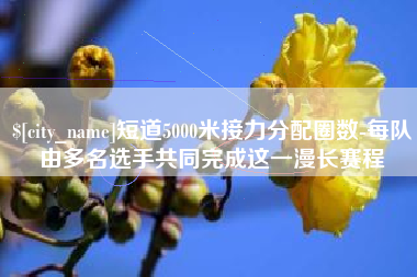 宁德短道5000米接力分配圈数-每队由多名选手共同完成这一漫长赛程