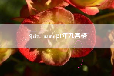 宁德21年九宫格