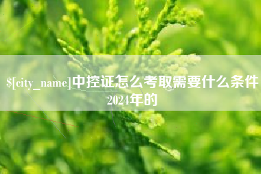 宁德中控证怎么考取需要什么条件2024年的